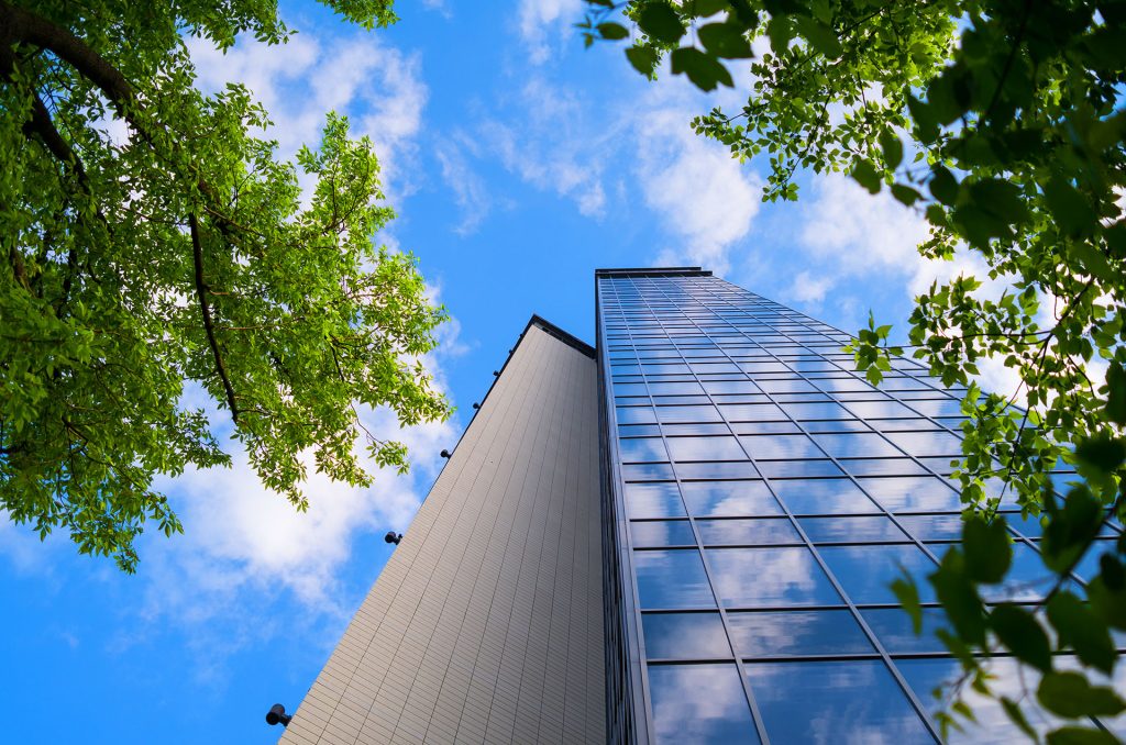 Modern glass office tower viewed upward through green tree branches
